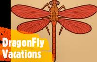 DragonFly Vacations